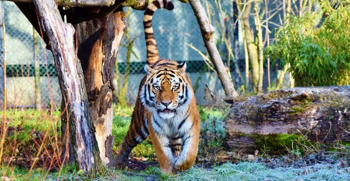 best zoos in the southeast