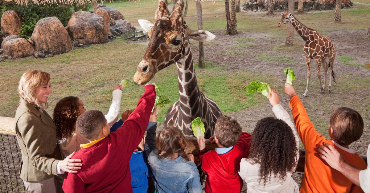 Best Zoos in the Midwest: Exploring Midwest Marvels