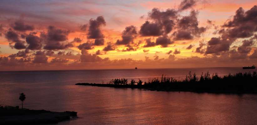 things to do in freeport bahamas